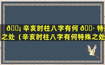 🐡 辛亥时柱八字有何 🕷 特殊之处（辛亥时柱八字有何特殊之处呢）